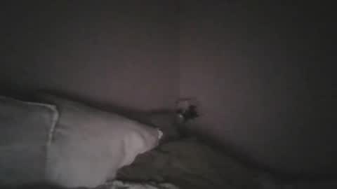 Snapshot of paul141293 chatting on 09-22-25, 06:43 paul141293 online show from 09-22-25, 06:43