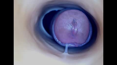 Paula 18 Aninhos online show from 04-02-26, 04:32