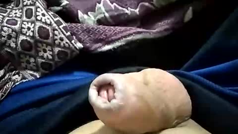 Snapshot of paulojdo chatting on 10-29-25, 03:09 carlosjdo online show from 10-29-25, 03:09