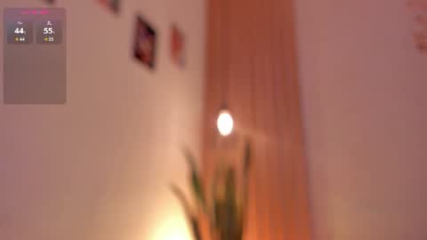 Dani online show from 06-19-26, 01:48