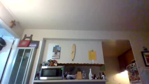 Snapshot of pawgkiller chatting on 10-11-25, 02:33 pawgkiller online show from 10-11-25, 02:33