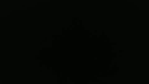 Snapshot of peavsters chatting on 09-24-25, 08:28 Alex online show from 09-24-25, 08:28