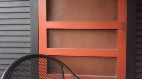 pecos8686 online show from 11-29-25, 02:42