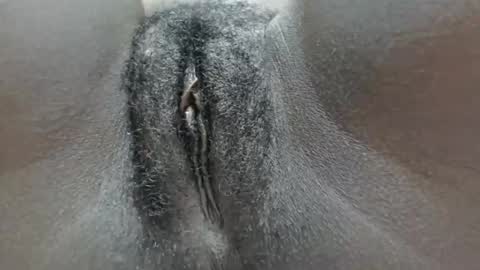 pennyna1 online show from 10-05-25, 11:35