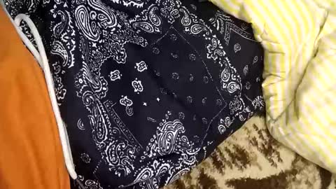 perdido4_20 online show from 01-05-25, 02:08