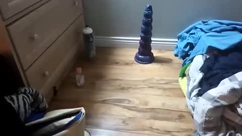 Snapshot of perdz768563 chatting on 03-22-26, 11:30 perdz768563 online show from 03-22-26, 11:30