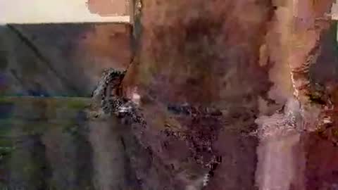 perfectFTM online show from 11-12-25, 08:52