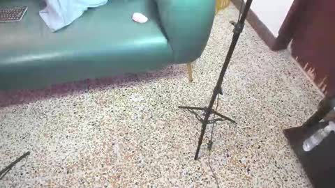 Peter online show from 02-21-26, 06:09