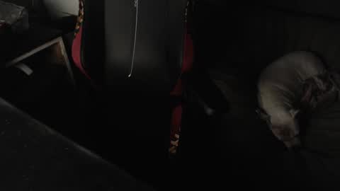 peterbeater2 online show from 02-21-25, 07:45