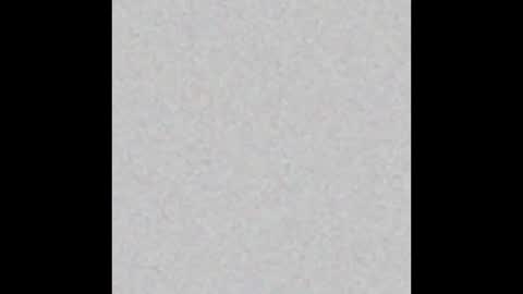 Maximus online show from 02-16-25, 06:10