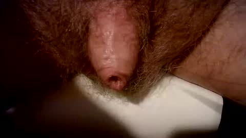 peterpeteropoulos online show from 02-20-25, 07:41