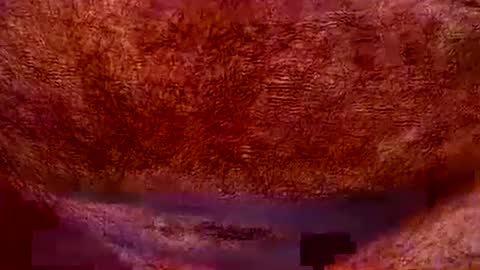 peterpeteropoulos online show from 07-20-26, 07:05