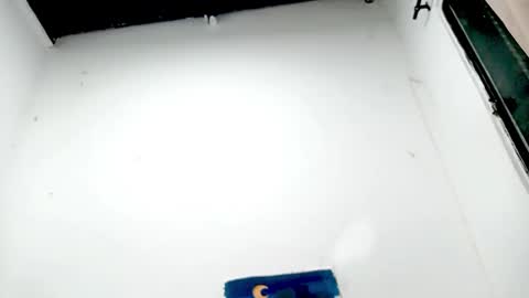 danna online show from 11-26-25, 04:57