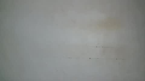petitgirl88 online show from 07-28-26, 06:20