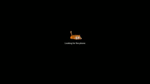 petrli online show from 04-29-26, 07:34