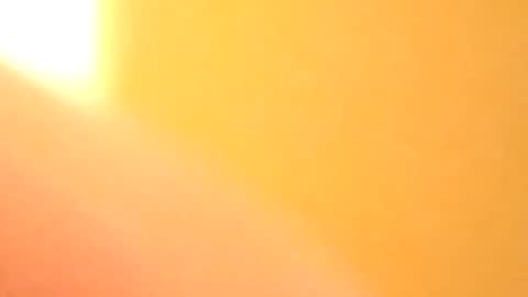 Snapshot of petw45 chatting on 02-25-26, 02:21 petw45 online show from 02-25-26, 02:21