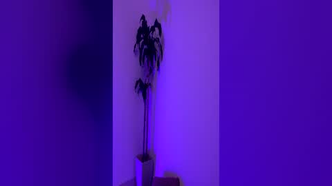 Snapshot of pink_quarz chatting on 06-16-26, 10:45 KELLY online show from 06-16-26, 10:45