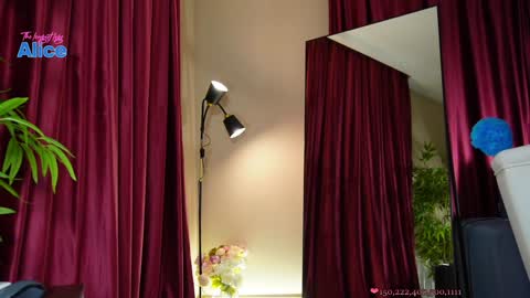Snapshot of pinkheart_ chatting on 12-13-24, 02:16 Alice online show from 12-13-24, 02:16