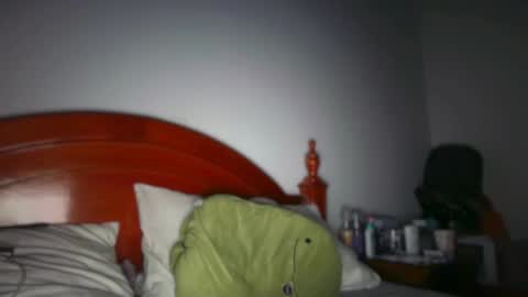Pinkilola online show from 05-29-26, 03:37
