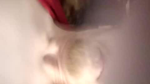 pinkytinky4 online show from 12-17-25, 01:11