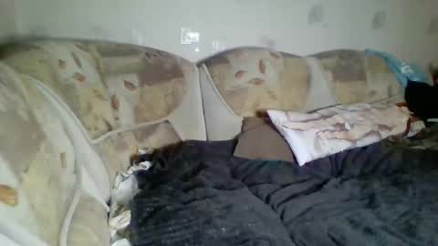 Incubus online show from 01-03-25, 12:43