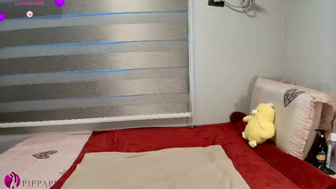 Snapshot of pippapia chatting on 04-24-26, 01:19 PippaPia online show from 04-24-26, 01:19