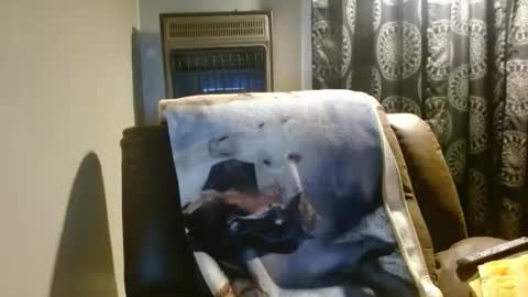 pirate334 online show from 03-24-26, 03:55