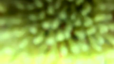 Snapshot of pitt821 chatting on 02-04-26, 09:09 Mike online show from 02-04-26, 09:09