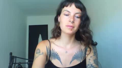 Snapshot of pixiecatfairy chatting on 09-12-25, 12:16 pixiecatfairy online show from 09-12-25, 12:16