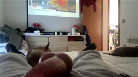 pjpp566883 online show from 12-01-25, 12:43