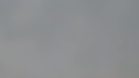 playboypetit online show from 01-15-25, 09:41