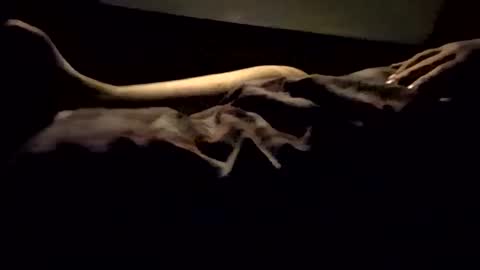 Nichole Vixen  Jacob online show from 03-08-25, 12:09