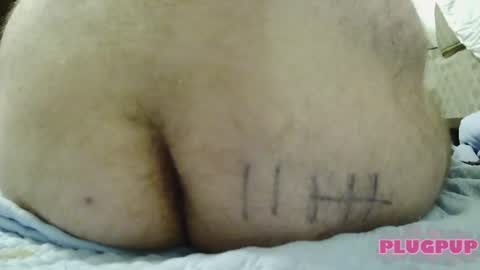 Snapshot of plugpup chatting on 08-01-26, 02:38 PlugPup online show from 08-01-26, 02:38