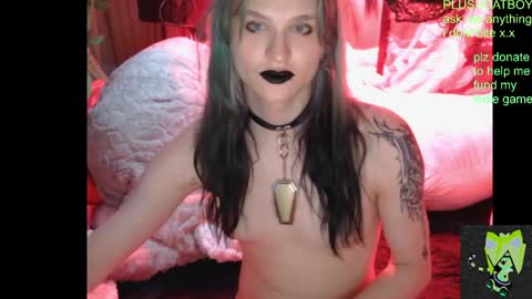 Snapshot of plushcatboy chatting on 04-21-26, 04:08 plushcatboy online show from 04-21-26, 04:08