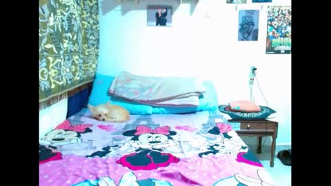 Gian online show from 01-05-25, 08:42