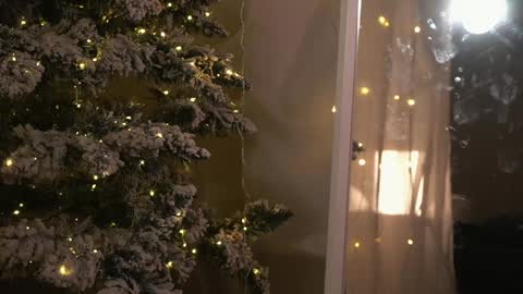    online show from 12-26-24, 09:04