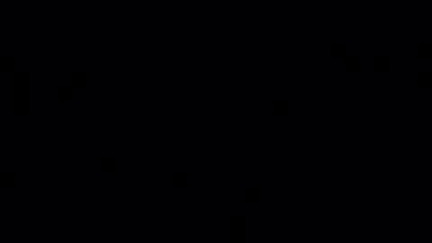 porkynerd online show from 10-29-25, 12:07