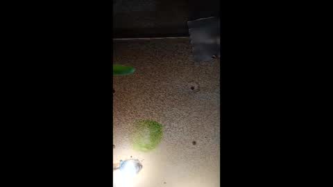 potsymcstoner online show from 09-12-25, 05:46