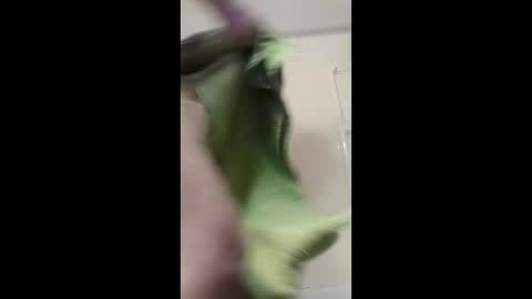 potsymcstoner online show from 01-12-26, 10:20