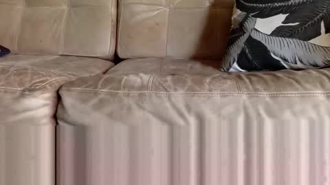 Snapshot of ppsmall_17 chatting on 02-08-26, 06:33 ppsmall_17 online show from 02-08-26, 06:33