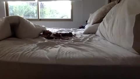 Snapshot of ppsmall_17 chatting on 03-27-26, 11:10 ppsmall_17 online show from 03-27-26, 11:10