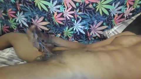 Libra Lamont online show from 10-04-25, 08:23