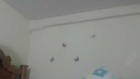 Snapshot of pretty_rose_ chatting on 02-24-25, 06:49 Rose online show from 02-24-25, 06:49