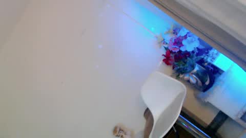 prettybadbitch28 online show from 06-09-26, 01:23