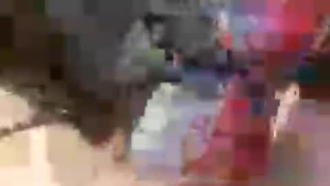 prettycock1981 online show from 07-05-26, 09:49