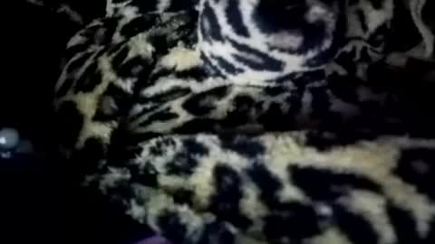 prettyma online show from 01-21-25, 08:19