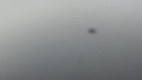 prettynyash online show from 03-07-25, 12:01