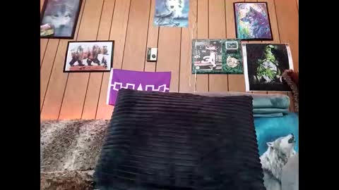 prettysolid7 online show from 02-14-26, 01:08