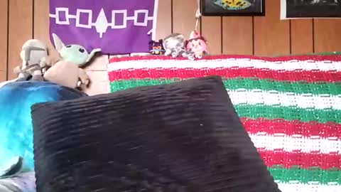 prettysolidd7 online show from 01-04-25, 02:35