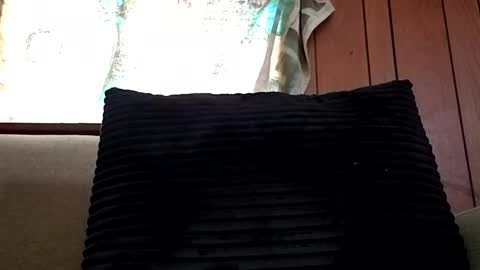 prettysolidd7 online show from 02-15-25, 12:54